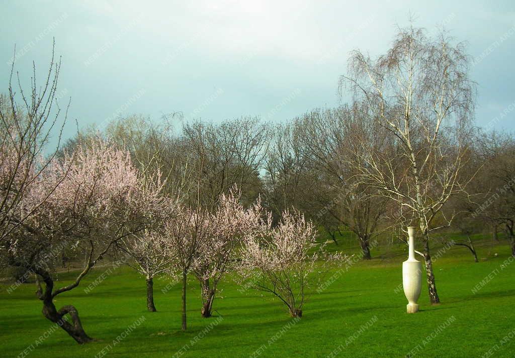 Budapest - Természet