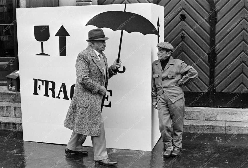 Kultúra - Televízió - Az Alfonzó Show című tv-műsor forgatása