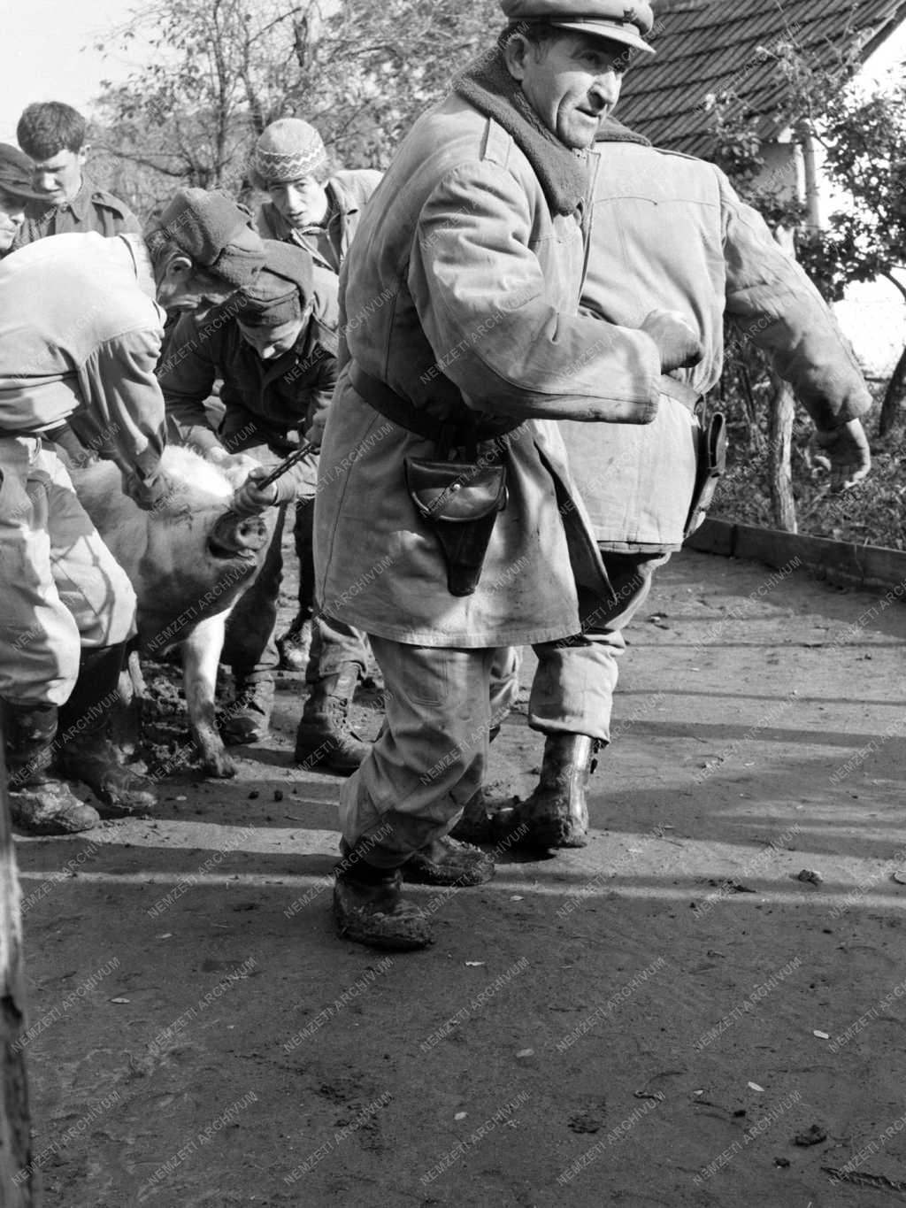 Időjárás - Áradás