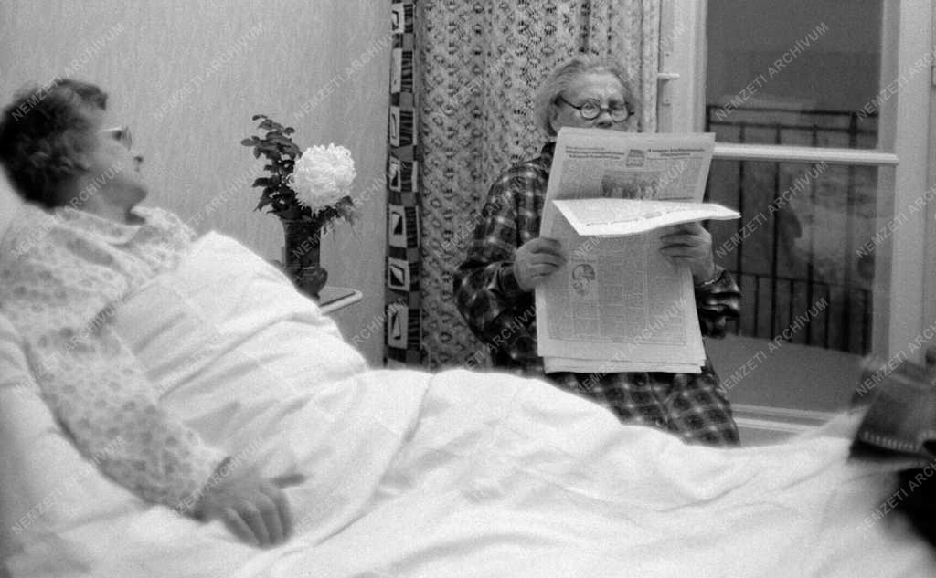 Szociális szolgáltatás - A Fővárosi Tanács új szociális otthona