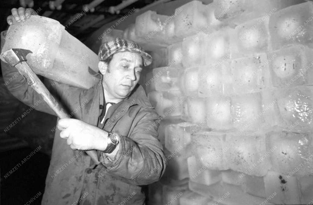 Szolgáltatás - Jeges