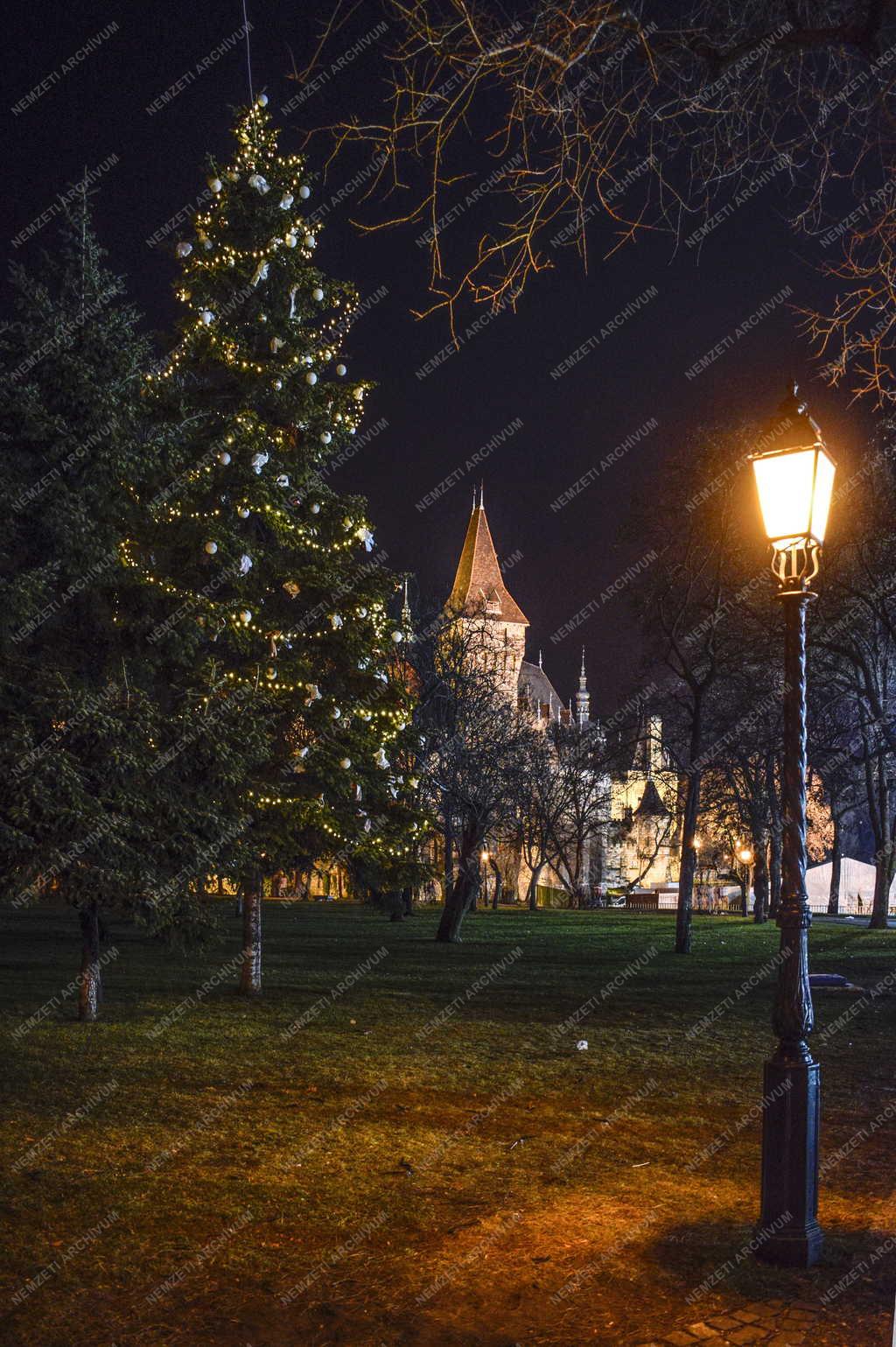 Városkép - Budapest - Vajdahunyadvár 
