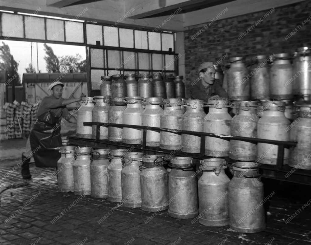 Ipar - Tejipari Vállalat kelenföldi üzeme