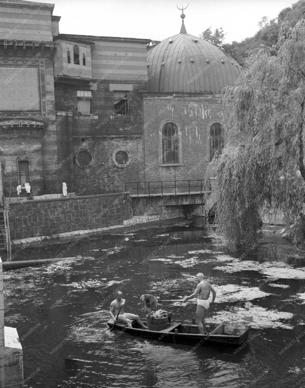 Természetvédelem - Budapesti Malom-tó tisztítása