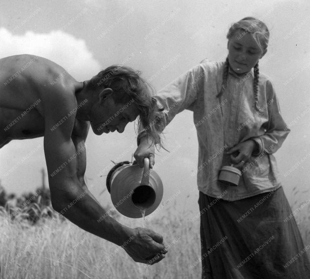 A szerző válogatása - Kepes János egyéni gazda