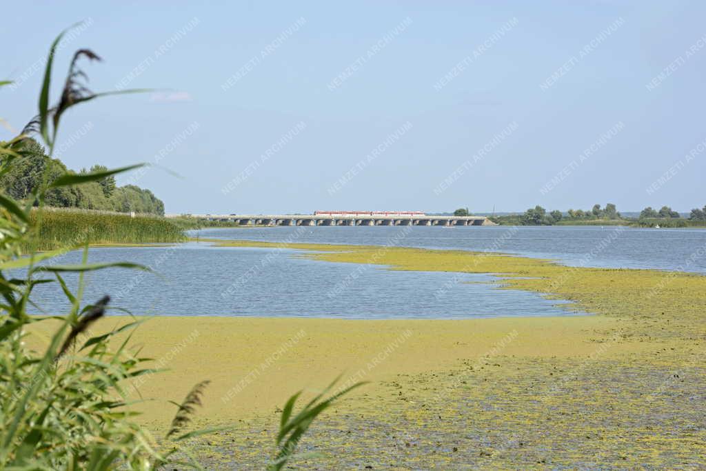 Közlekedés - Poroszló - Közúti és vasúti híd a Tisza-tónál