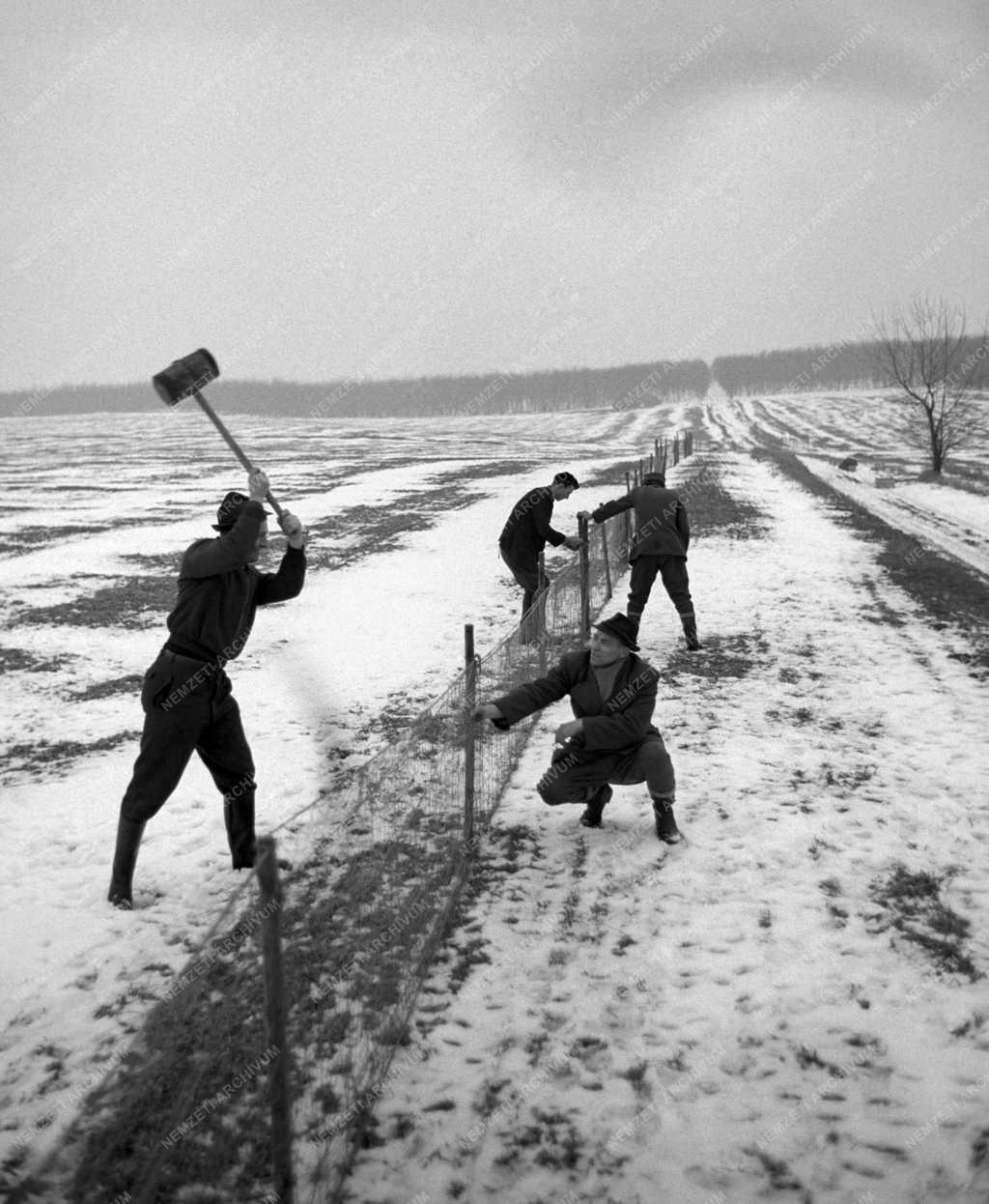 Vadászat - Élővadbefogás