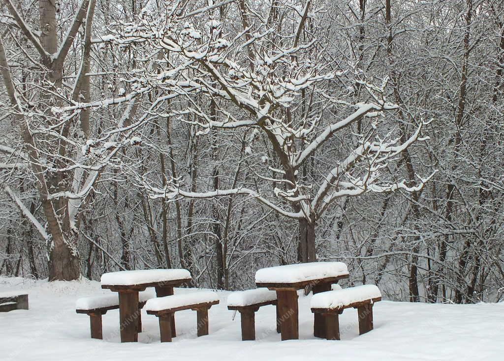 Természet - Zebegény - Havas pihenőhely
