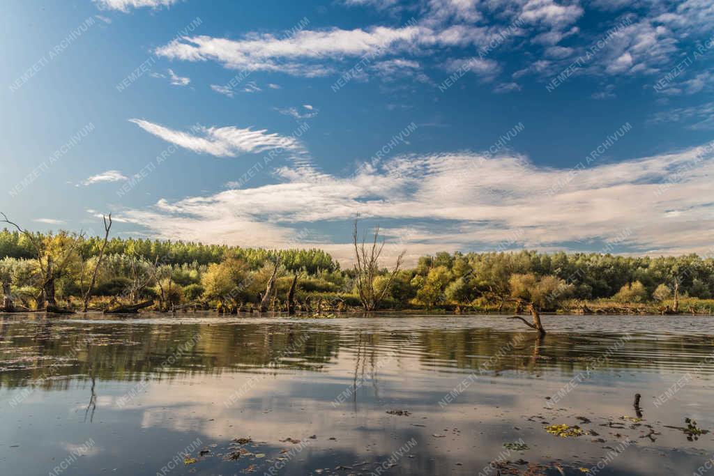 Természet - Tiszaalpár - Holt-Tisza 