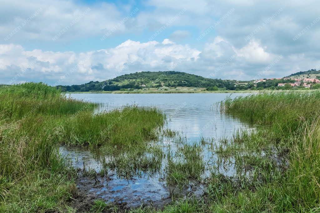 Táj - Tihany - A tihanyi Belső-tó