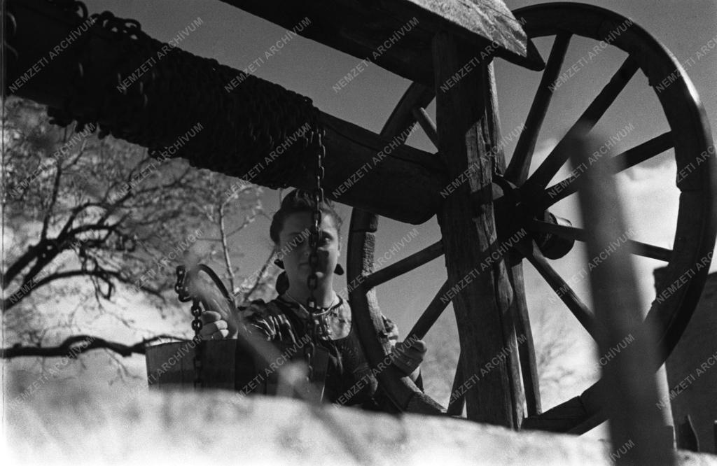 Békásmegyer: Új telepesek I.