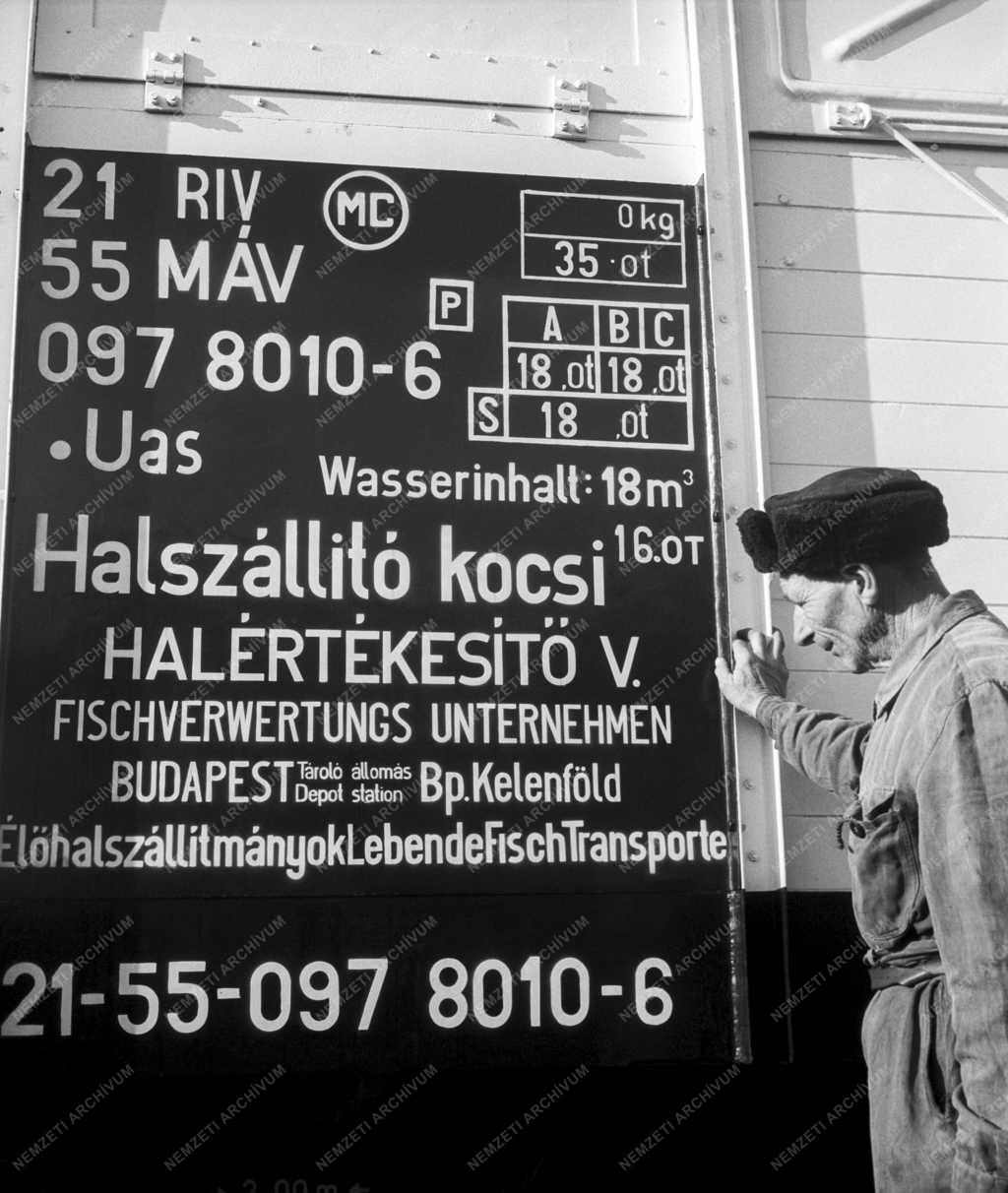 Közlekedés - Járműipar - Élőhal szállító vasúti vagon