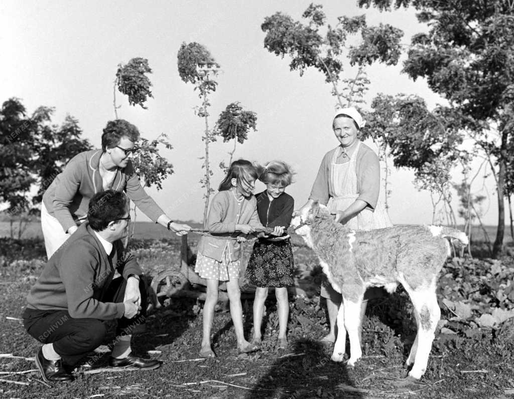 Oktatás - Iskola a hódmezővásárhelyi tanyavilágban