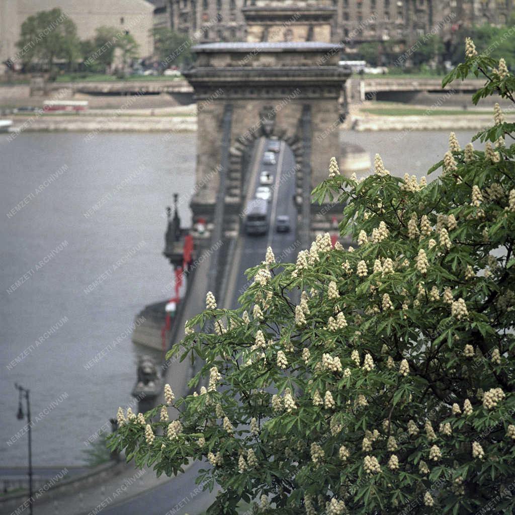 Városkép - Budapest