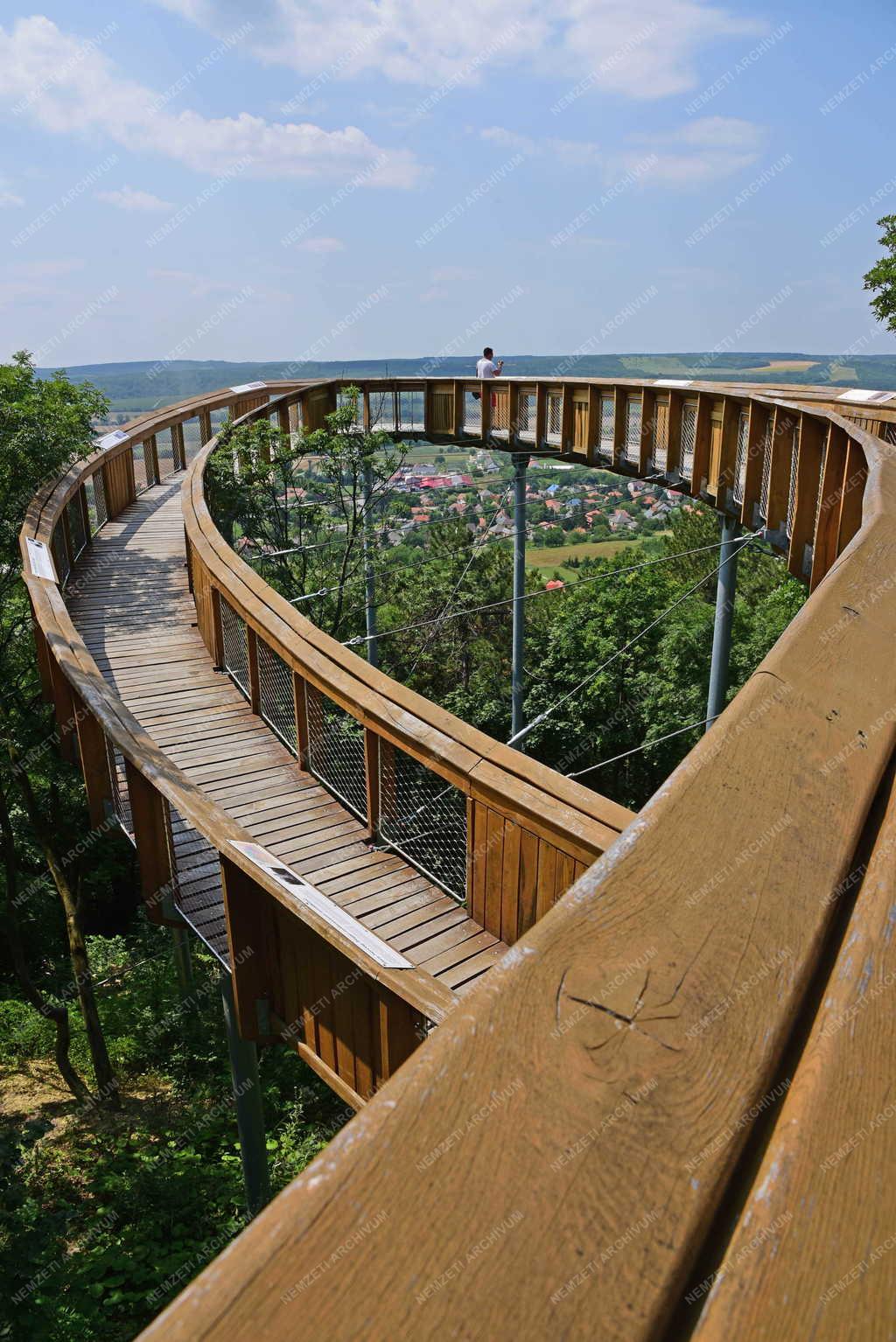 Városkép - Pannonhalma - Lombkorona tanösvény