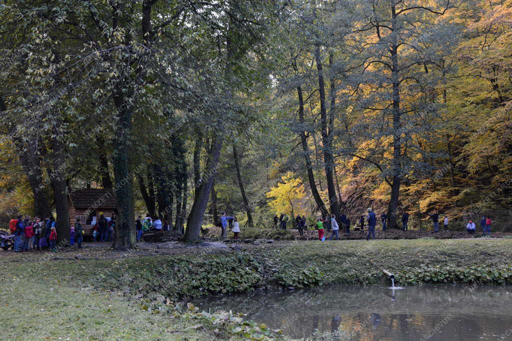 Turizmus - Visegrád - Kirándulók a Bertényi Miklós Füvészkertben