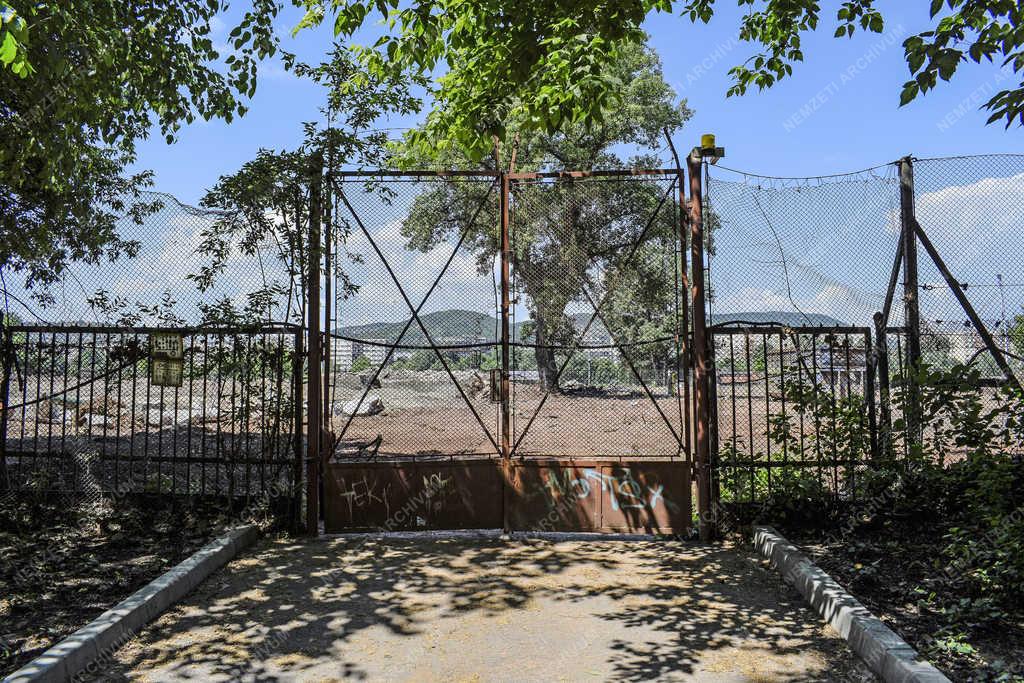 Építőipar - Budapest - Margitszigeti teniszstadion