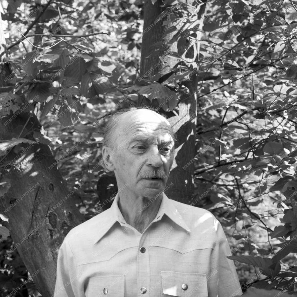 Kultúra - Jékely Zoltán költő