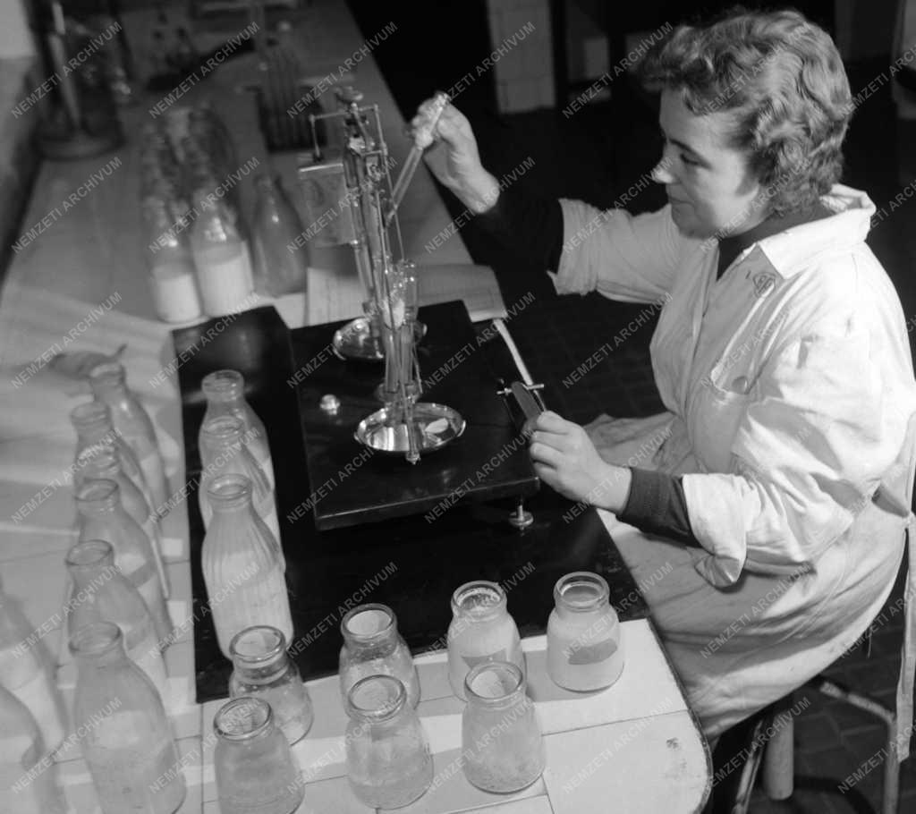 Élelmiszeripar - Tejipari Vállalat kelenföldi üzeme