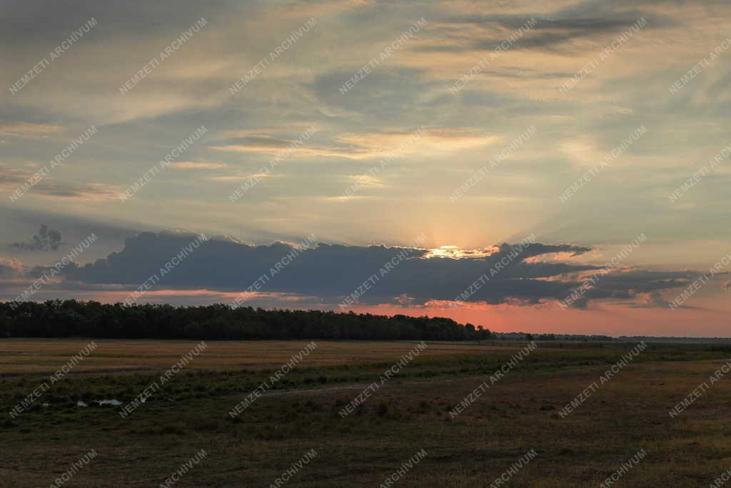 Tájkép - Természet - Napkelte Hortobágyon