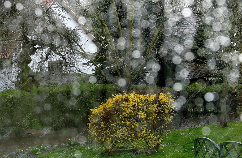 Település - Felsőmocsolád - Kacskovics–Bánó-kastély parkja