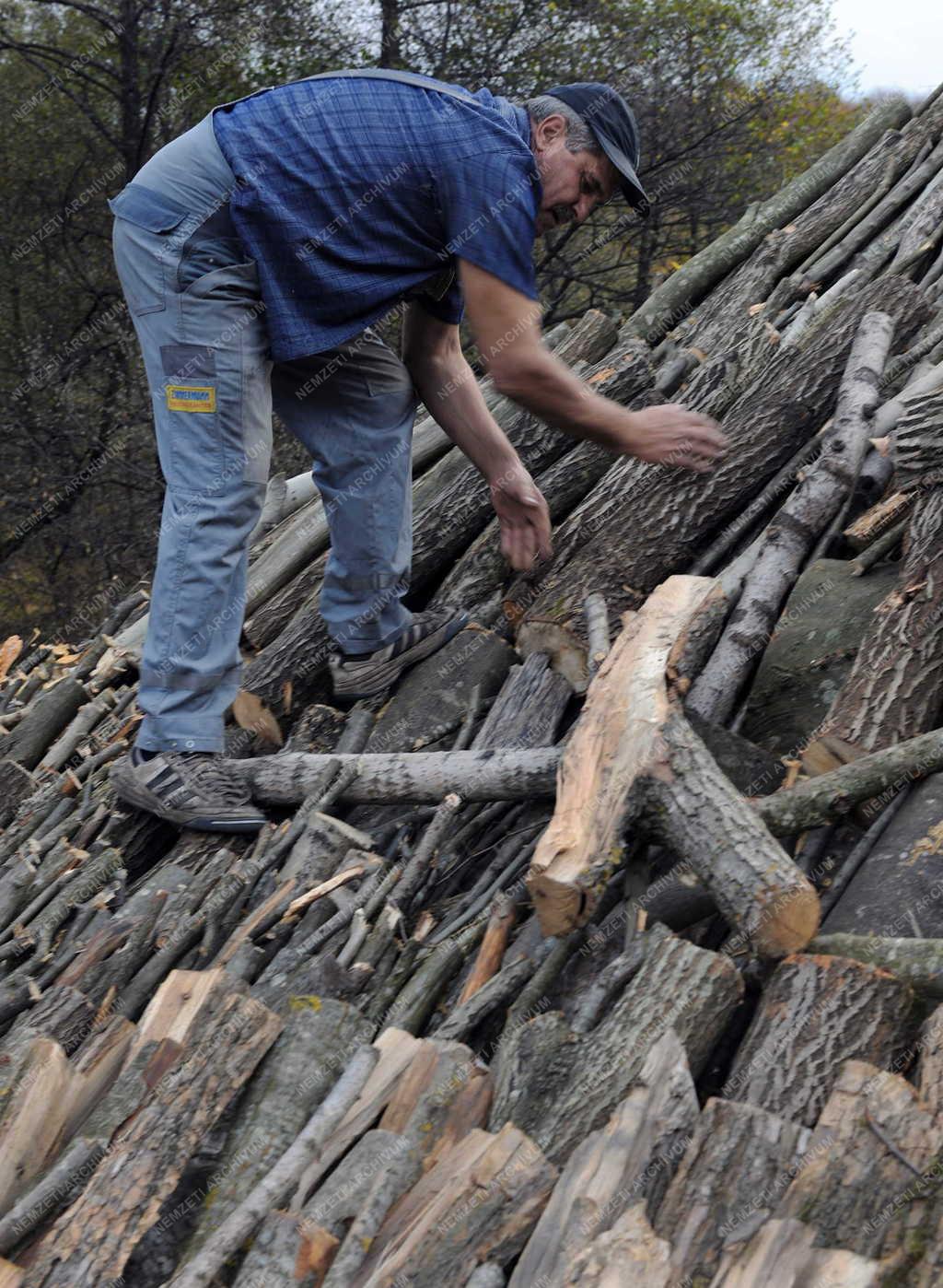 Vállalkozás - Firtosmartonos - Szénégetők 