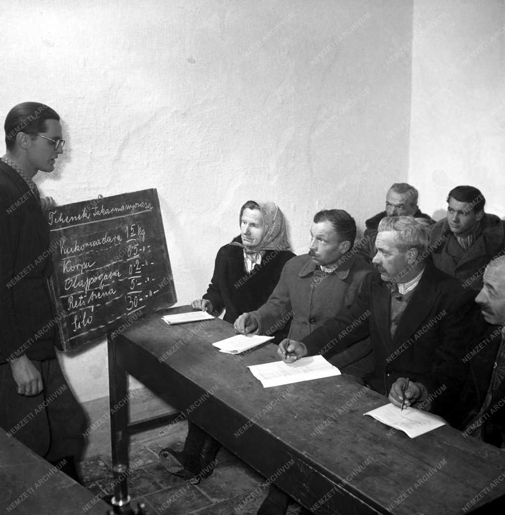 Oktatás - Mezőgazdasági szakkör Csákváron