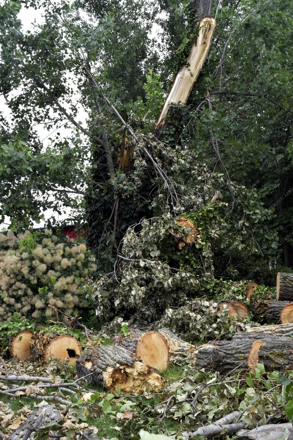 Időjárás - Budapest - Viharkár Zuglóban