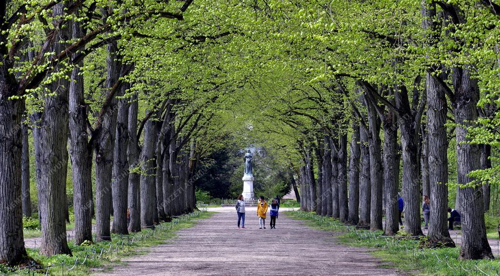 Kultúra - Gödöllő - Erzsébet királyné szobra