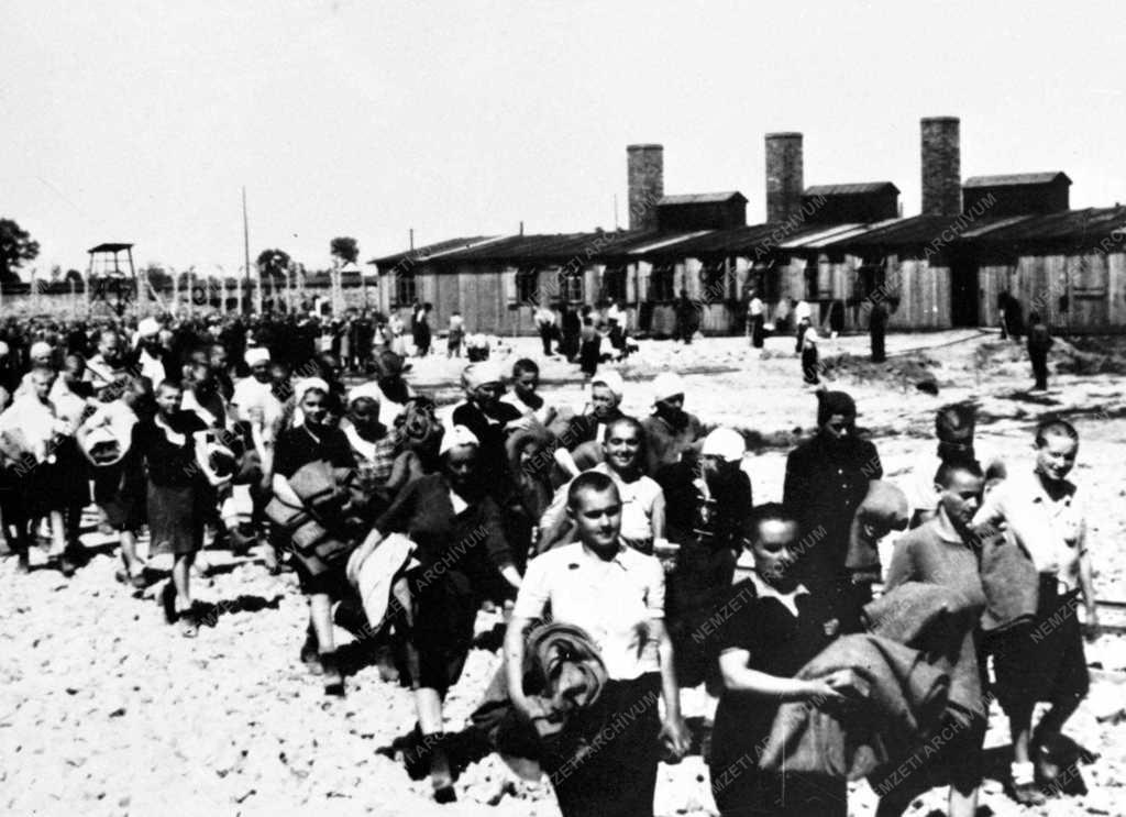 Történelem - Népirtás - Deportáltak Auschwitzban