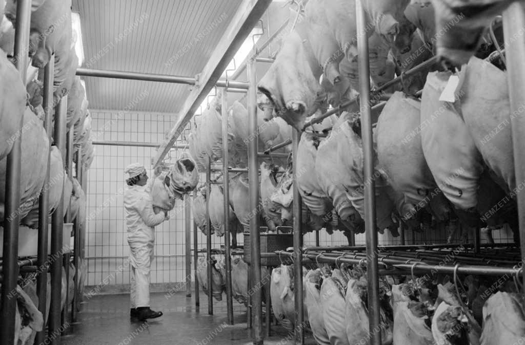 Ipar - Élelmiszeripar - Pápai Húskombinát