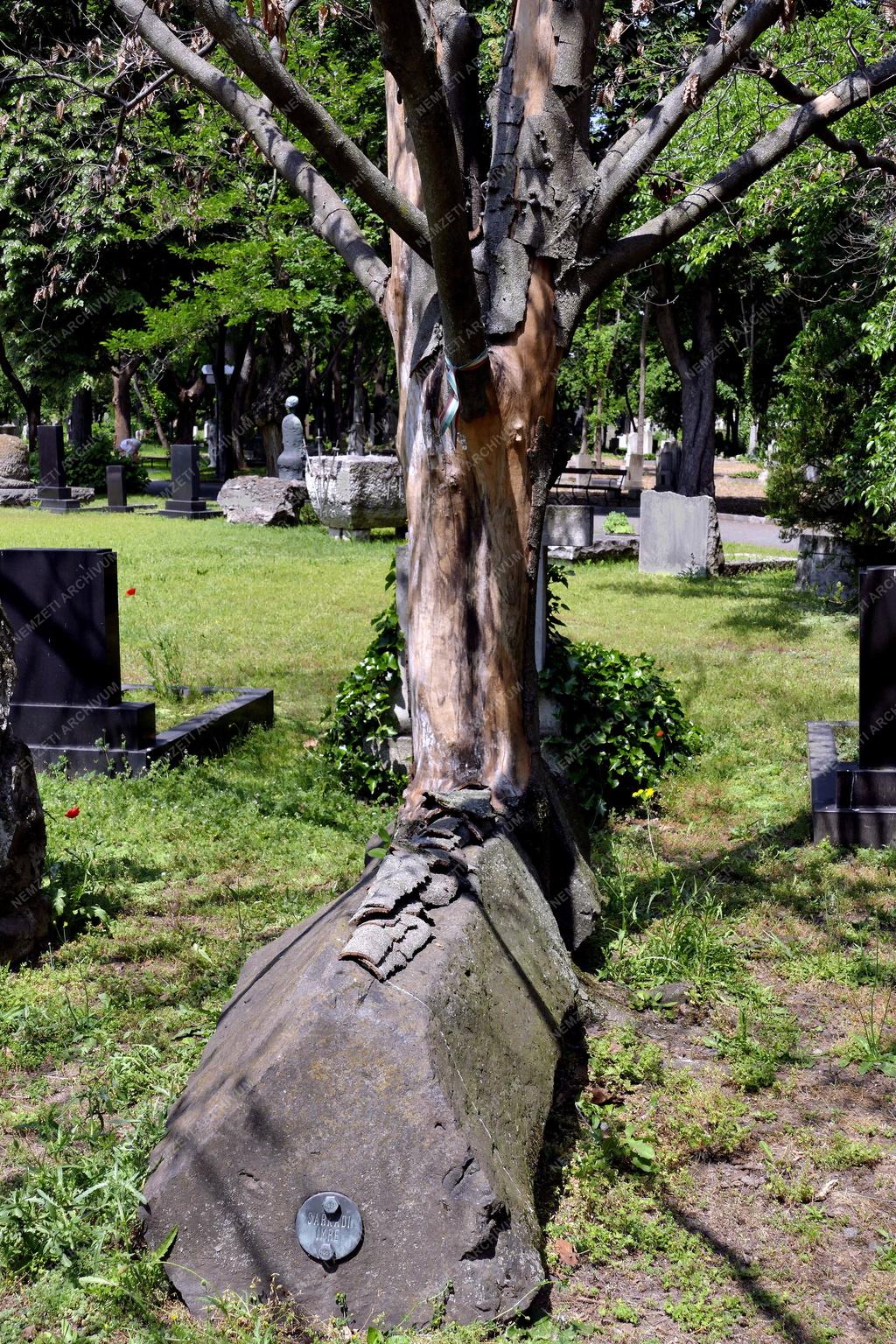 Temető - Budapest - Fiumei Úti Sírkert