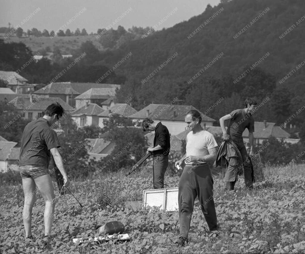 Kultúra - Képzőművész szakkör a somoskői várnál