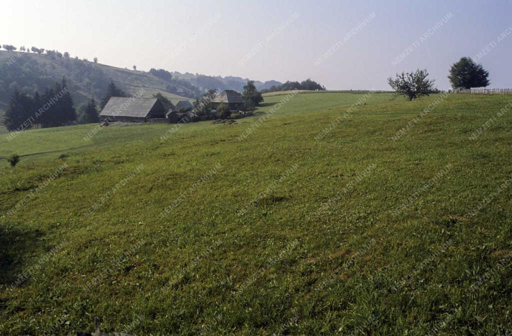 Táj, város - Román falvak - Alsósófalva