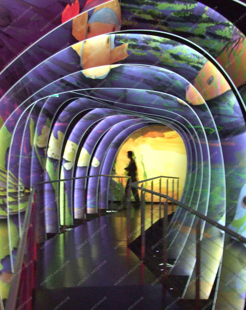 Táj, város - Ausztria - Művészet - Swarovszki Művek