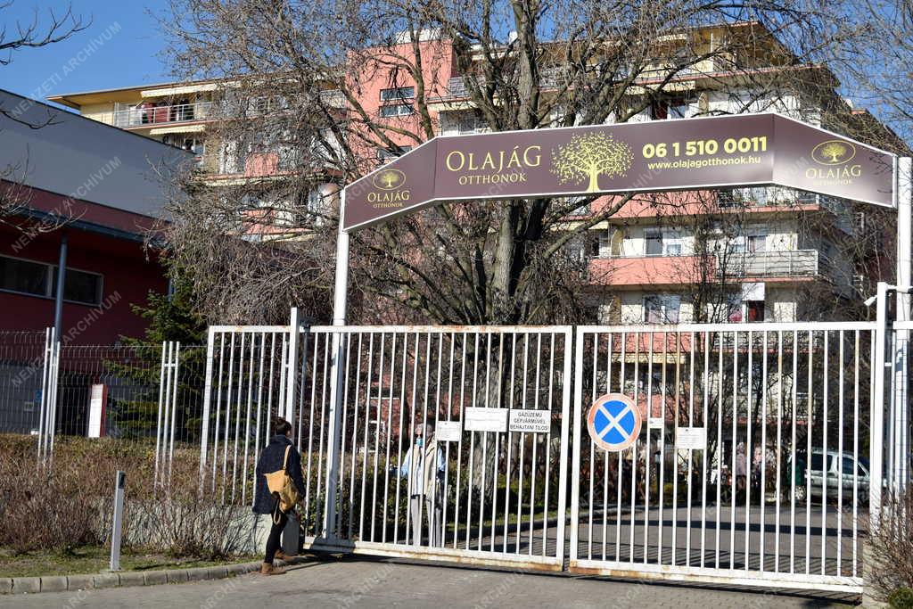 Szociális ellátás - Demográfia - Olajág Otthonok