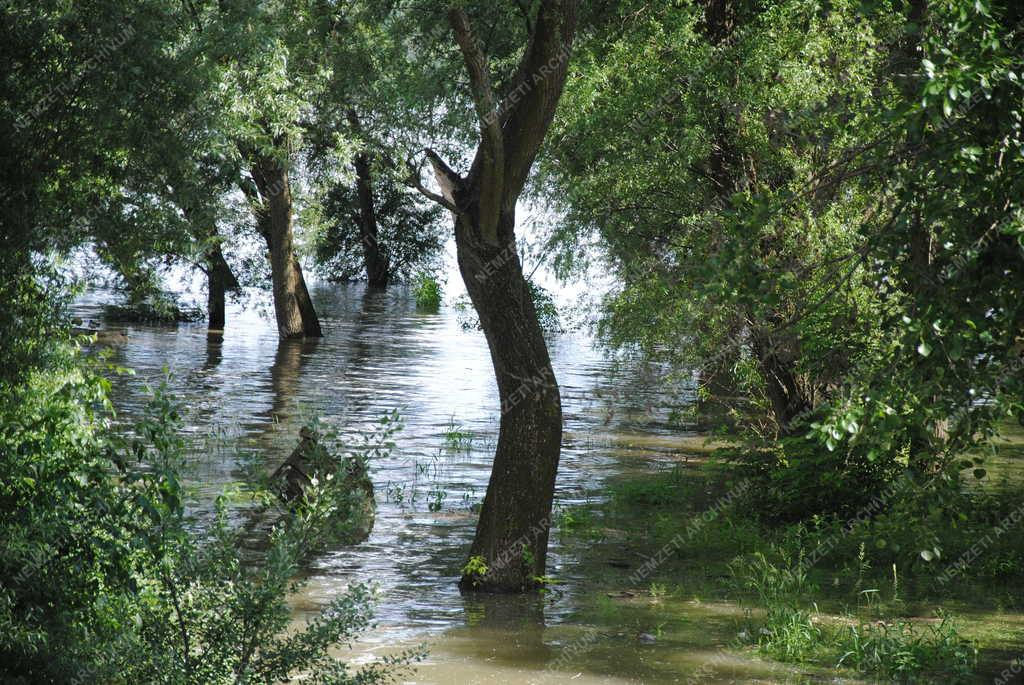 Árvíz - Pócsmegyer - Árad a Duna a Szentendrei-szigetnél