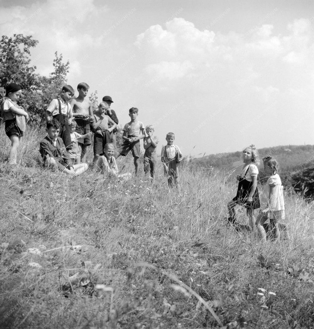 Üdülés - Ifjúsági üdültetés a Széchenyi-hegyen
