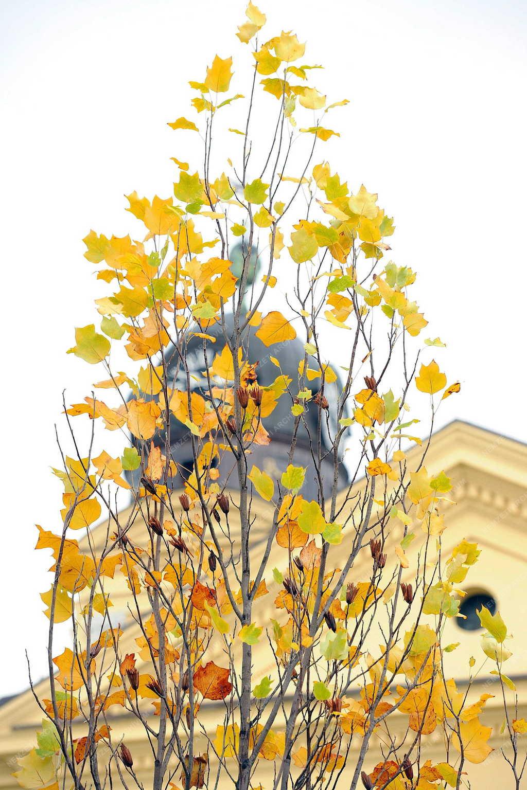 Időjárás - Debrecen - Esős ősz 