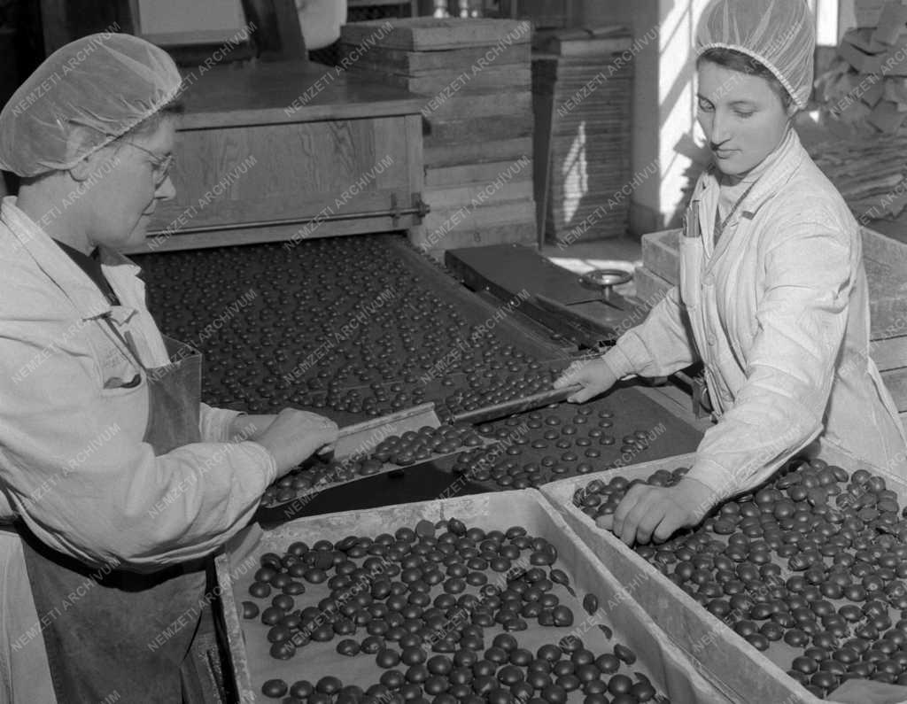 Élelmiszeripar - Szerencsi Csokoládégyár