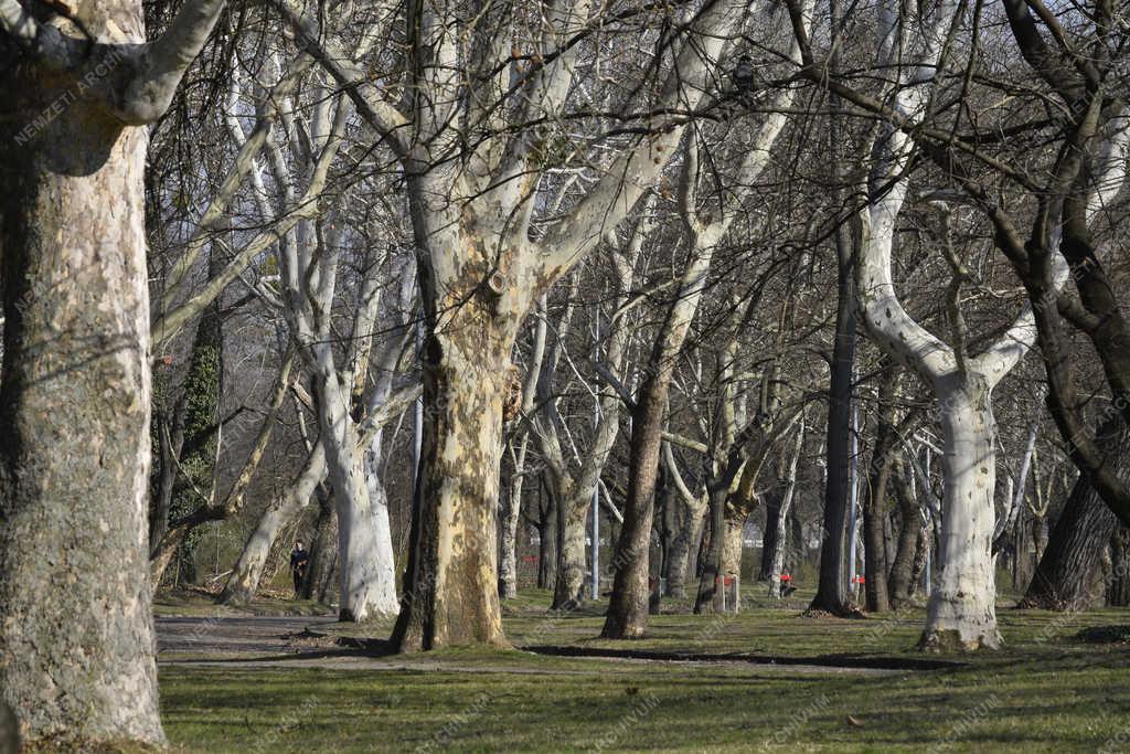 Természet - Budapest - Népliget