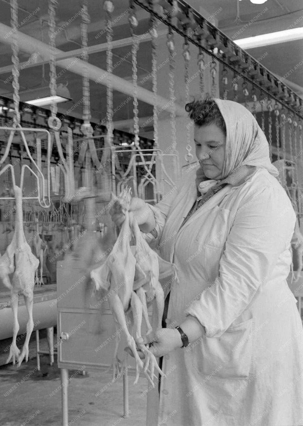 Élelmiszeripar - Baromfiipari Országos Vállalat