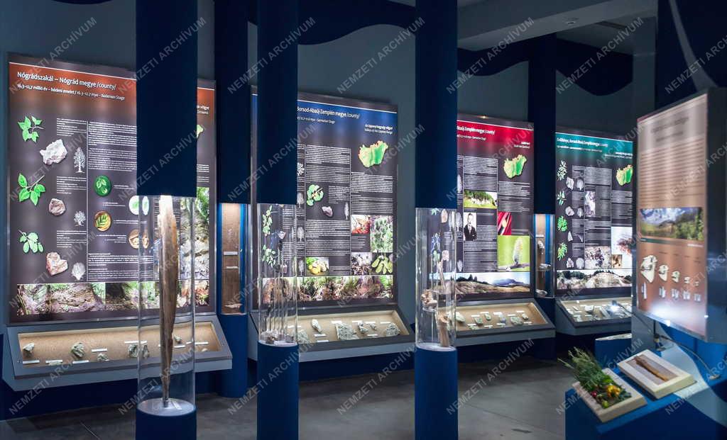 Kultúra - Miskolc - Új kiállítóhely - Pannon-tenger Múzeum