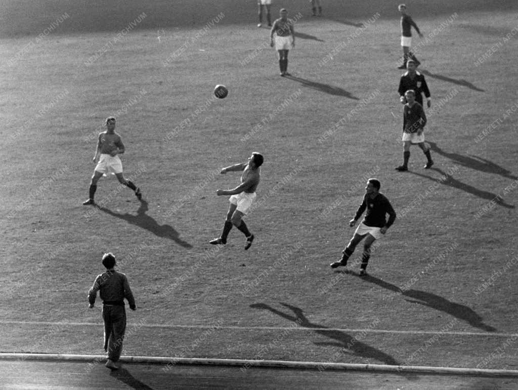 Sport - Labdarúgó mérkőzés