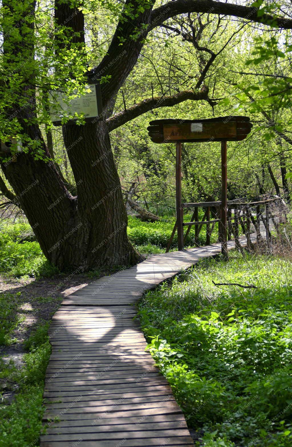 Természet - Szabadidő - Váci Ártéri Tanösvény