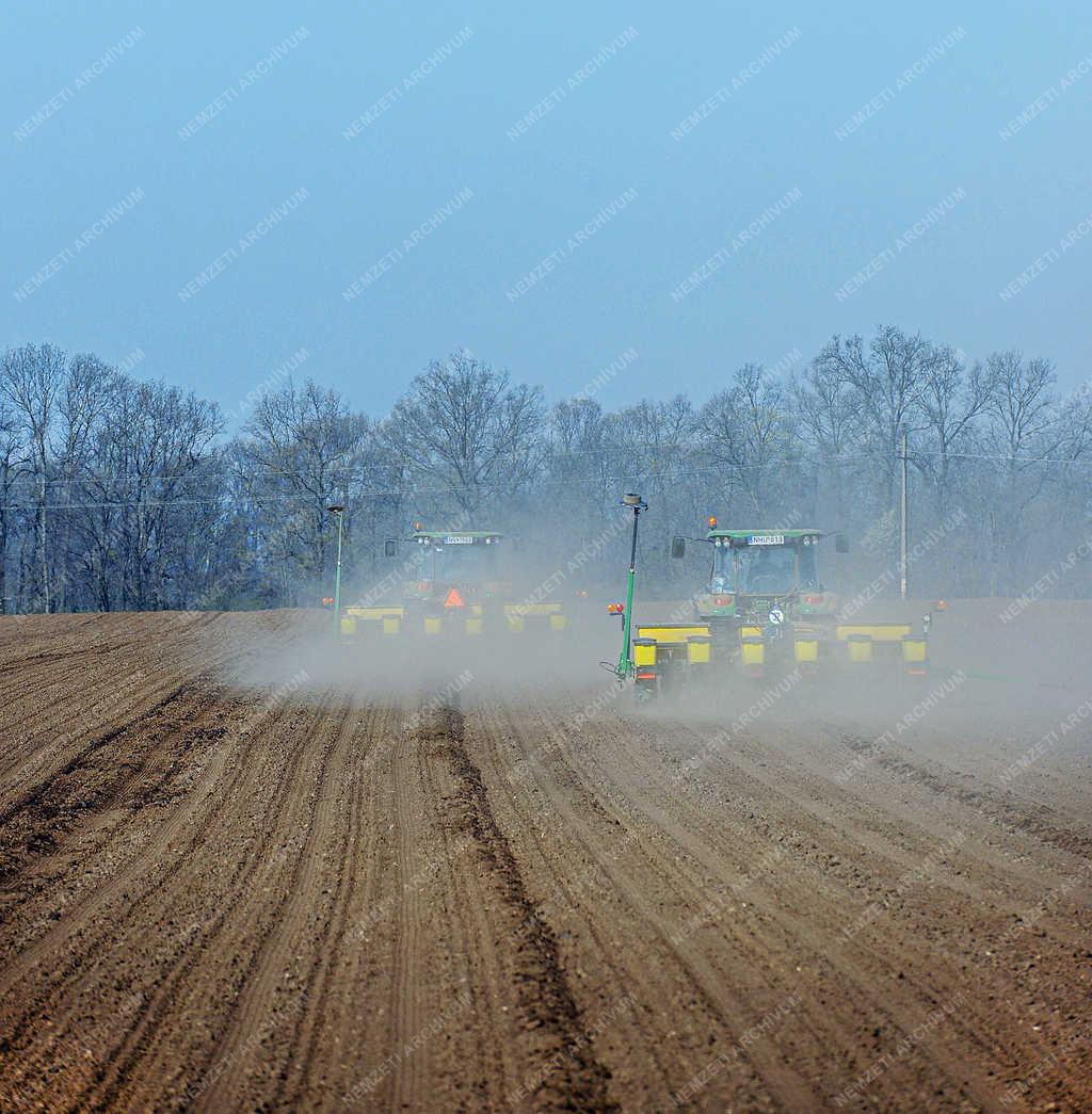 Mezőgazdaság - Debrecen - Kukorica vetés
