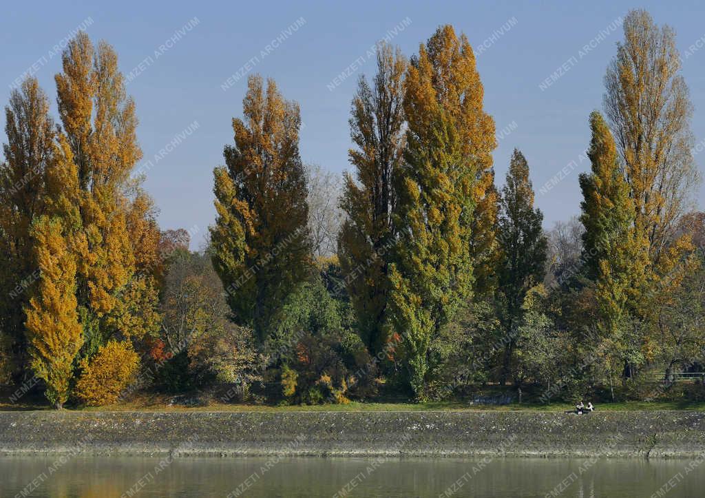 Természet - Budapest - Ősz a Margitszigeten