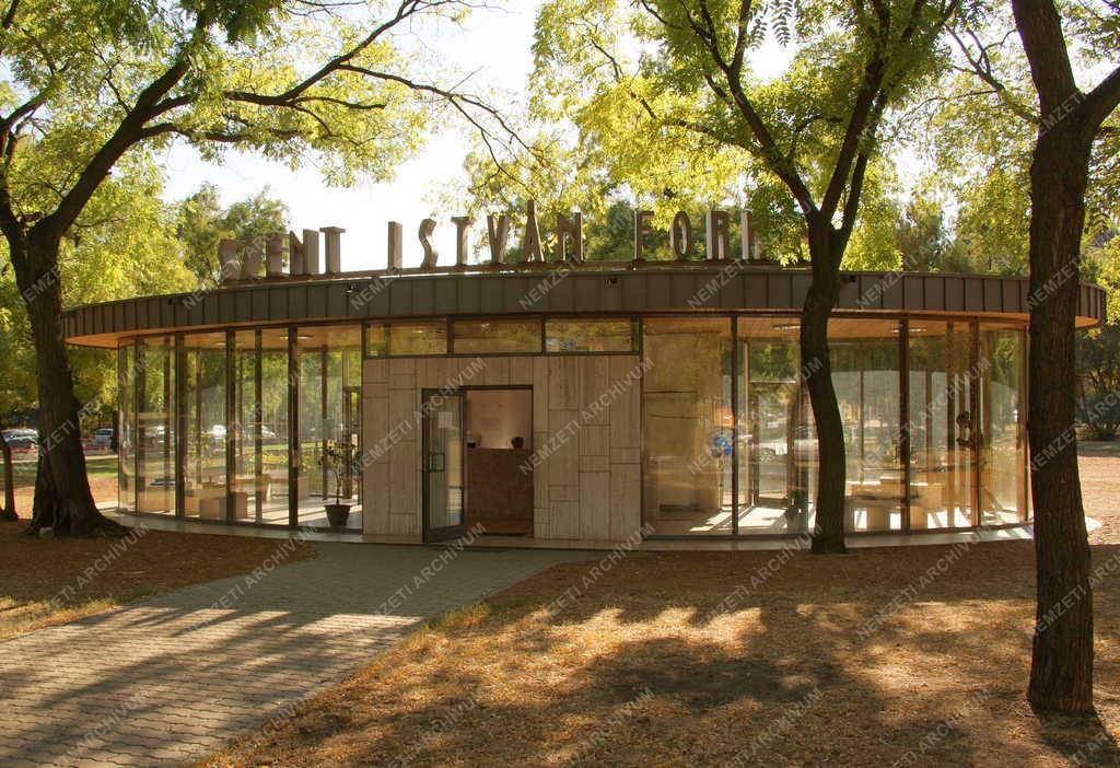 Táj, város - Budapest - Gyógyvízforrás - Városliget