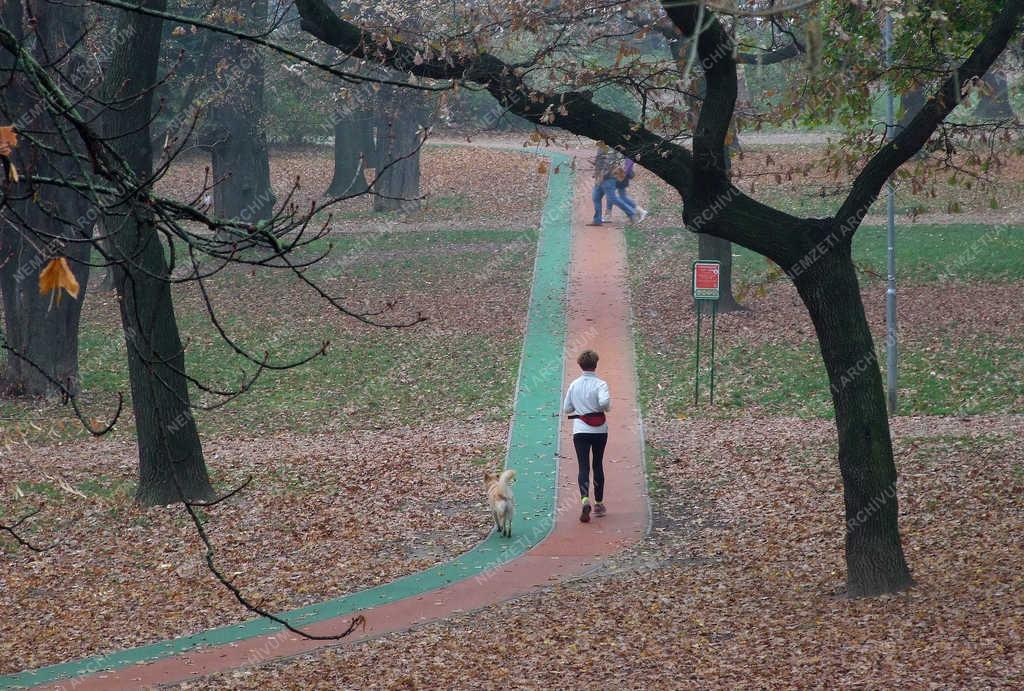 Testedzés - Budapest - Kocogó az őszi parkban