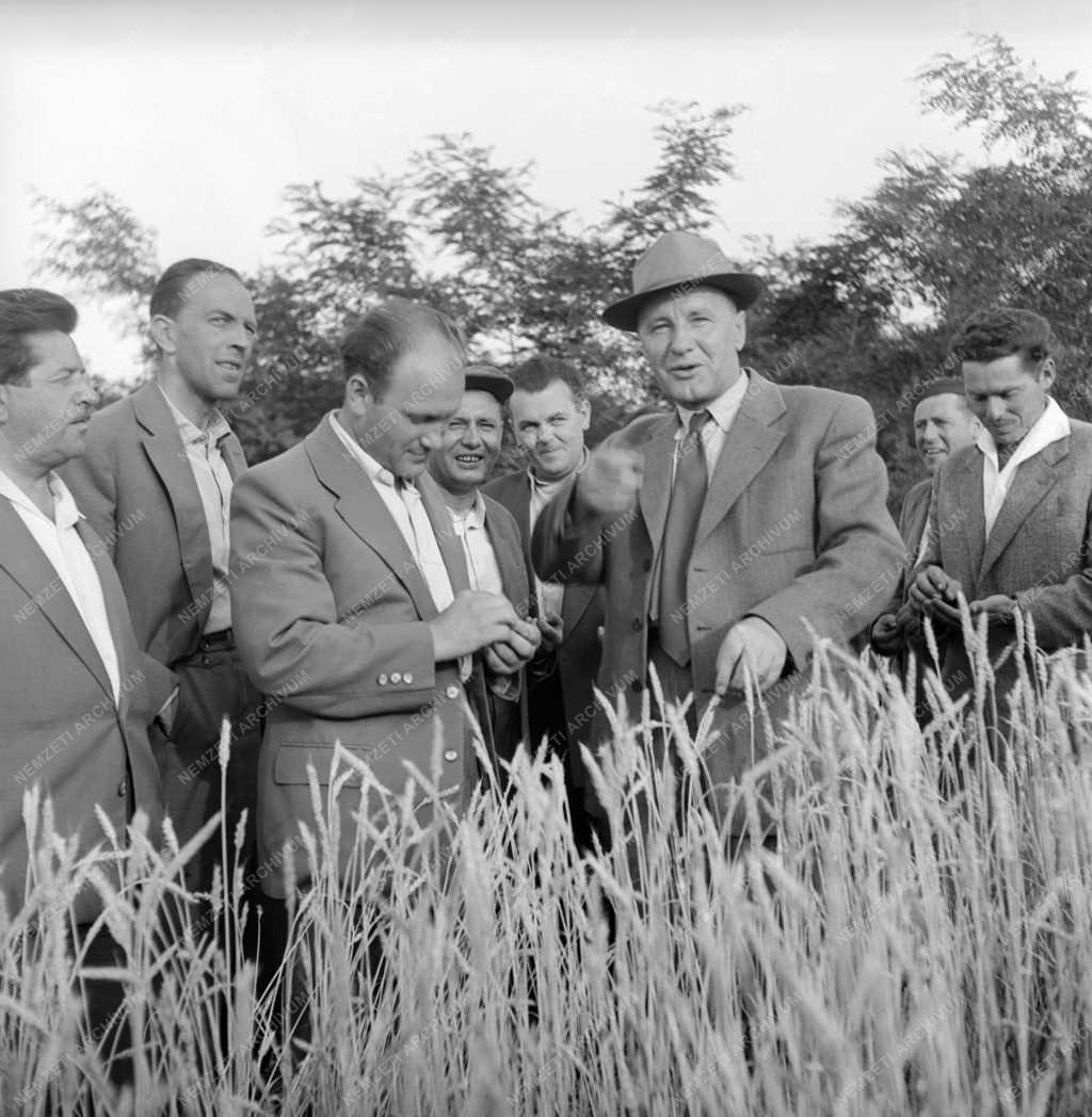 Belpolitika - Mezőgazdaság - Látogatás az Állami Gazdaságban